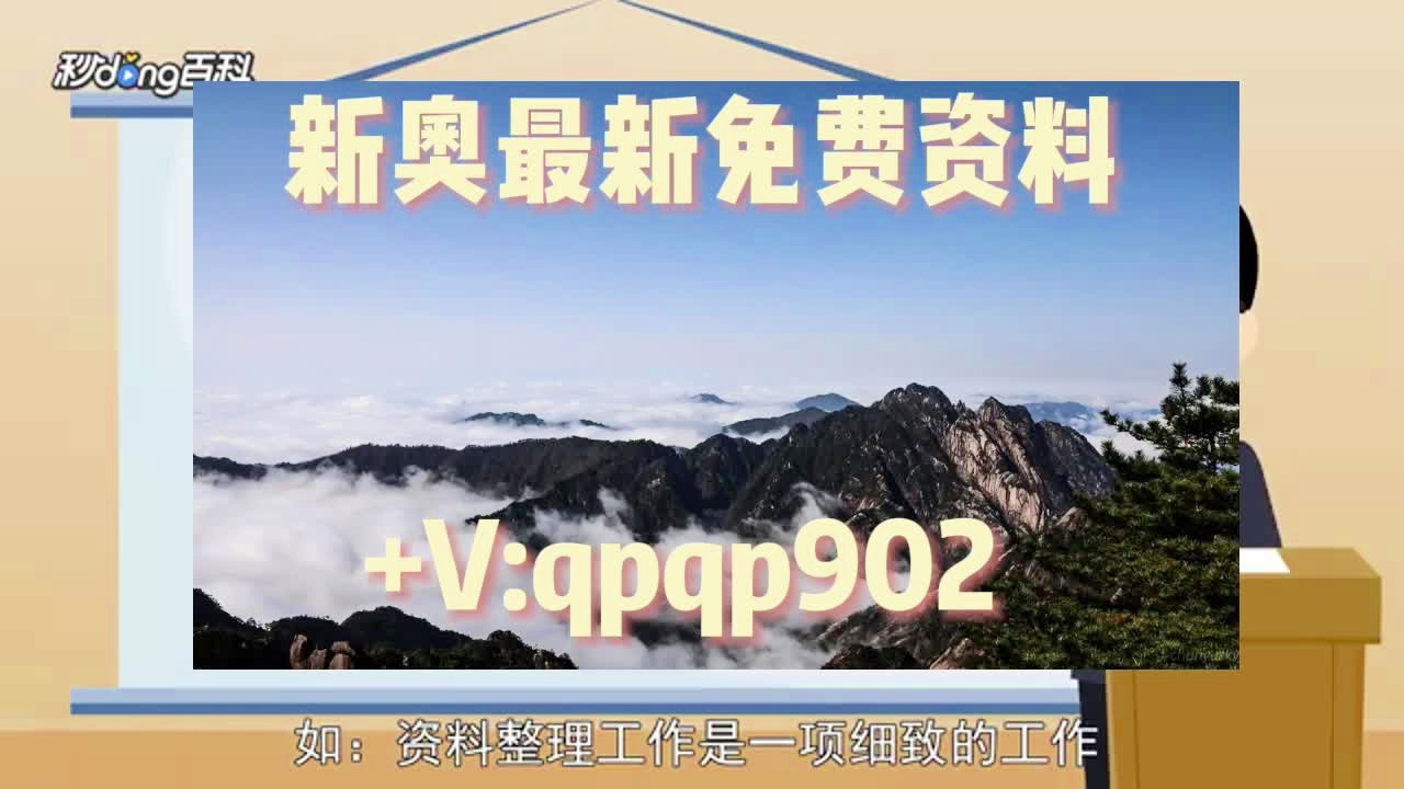 4949正版免费资料大全水果,效率资料解释落实_纪念版72.496