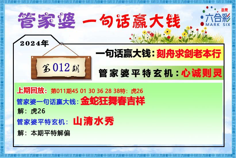 管家婆王中王期期一肖中,精细化策略落实探讨_经典款65.62