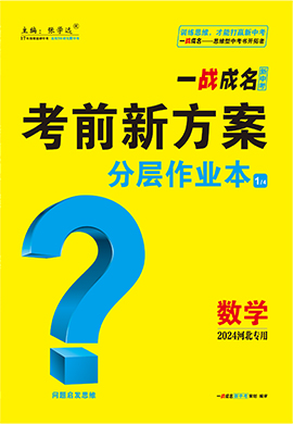 管家婆2024资料精准大全｜适用计划解析方案