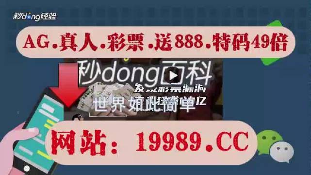 2024澳门天天开好彩大全香港,快速响应计划分析_战斗版86.84