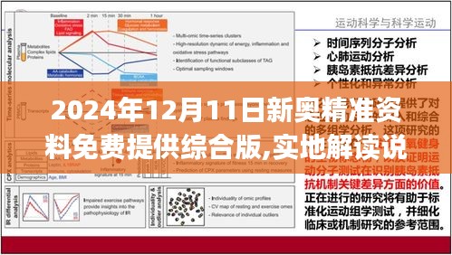 2024年12月21日 第43页