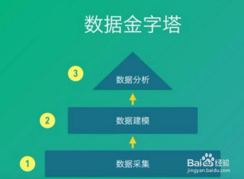 2024管家婆一肖一特,深入执行数据策略_FT77.194