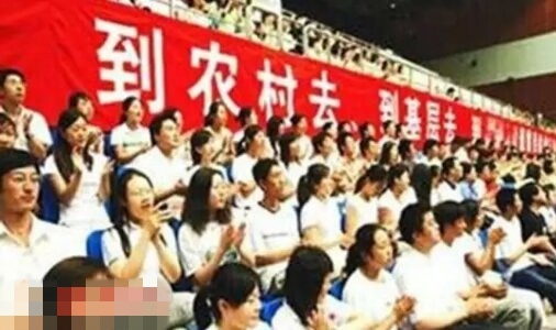 濮阳三支一扶最新招募计划解读，招募消息、政策解读与未来前景展望