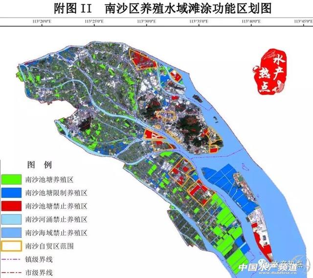 葫芦岛禁养区最新消息及其深度影响分析