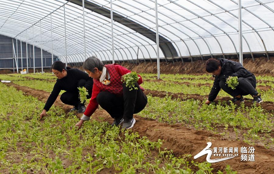 襄汾最新资讯概览，全方位报道最新动态