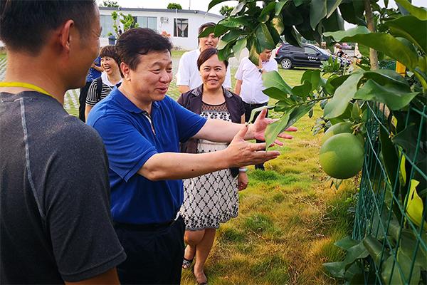 无为县农业农村局最新发展规划概览