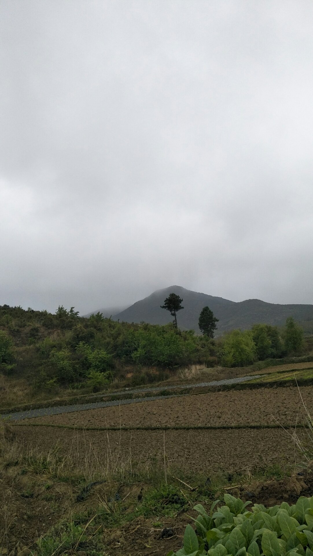 三站乡天气预报更新通知