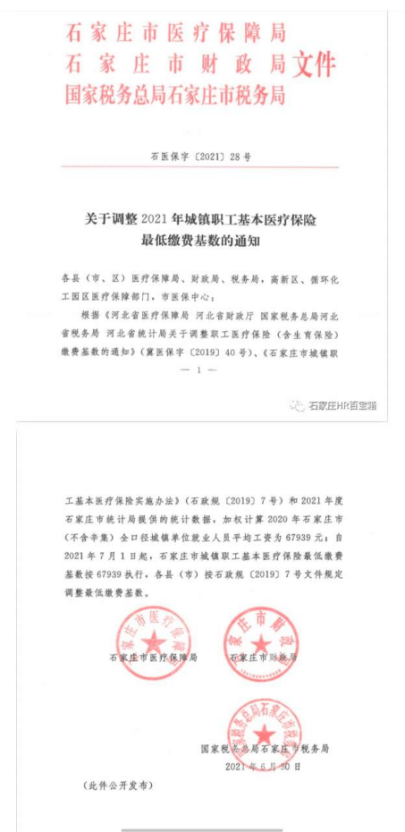 最新社保政策解读，保障民众权益，了解政策新变化