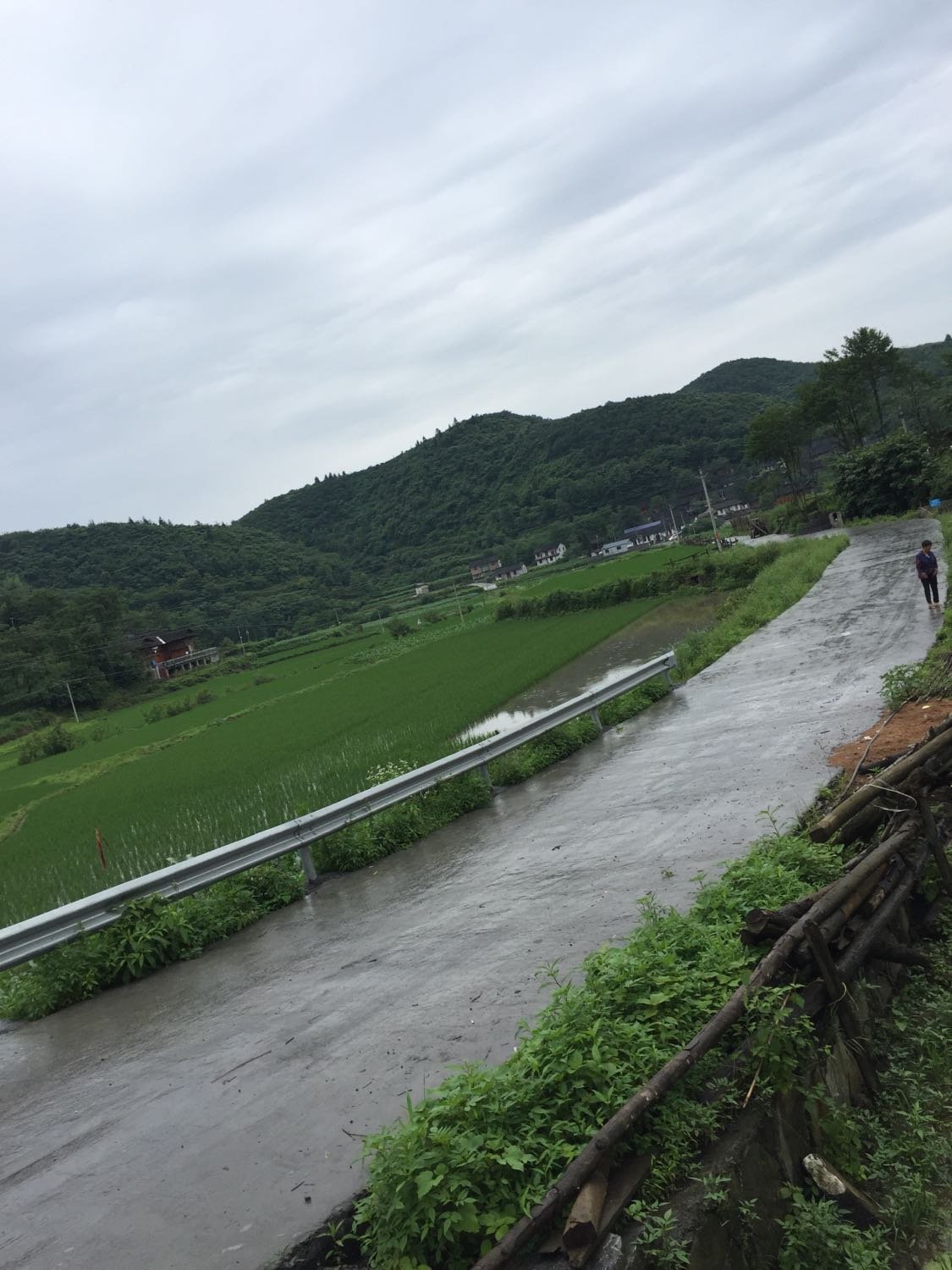 央果村今日天气预报