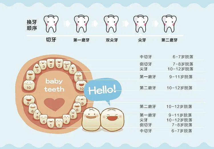 儿童换牙期，新阶段与家长的关注焦点