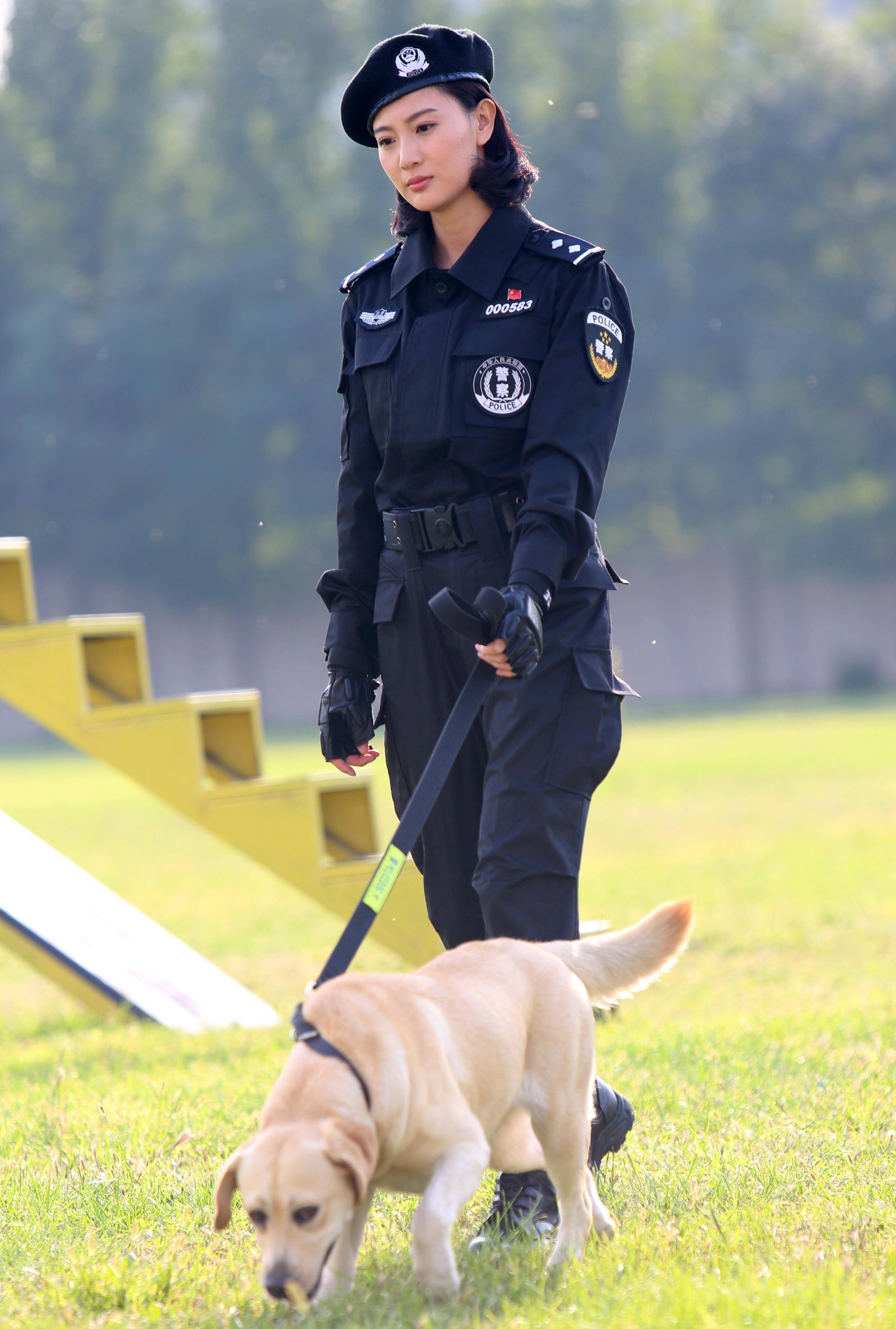 警犬安然，守护安全的无言英雄最新动态