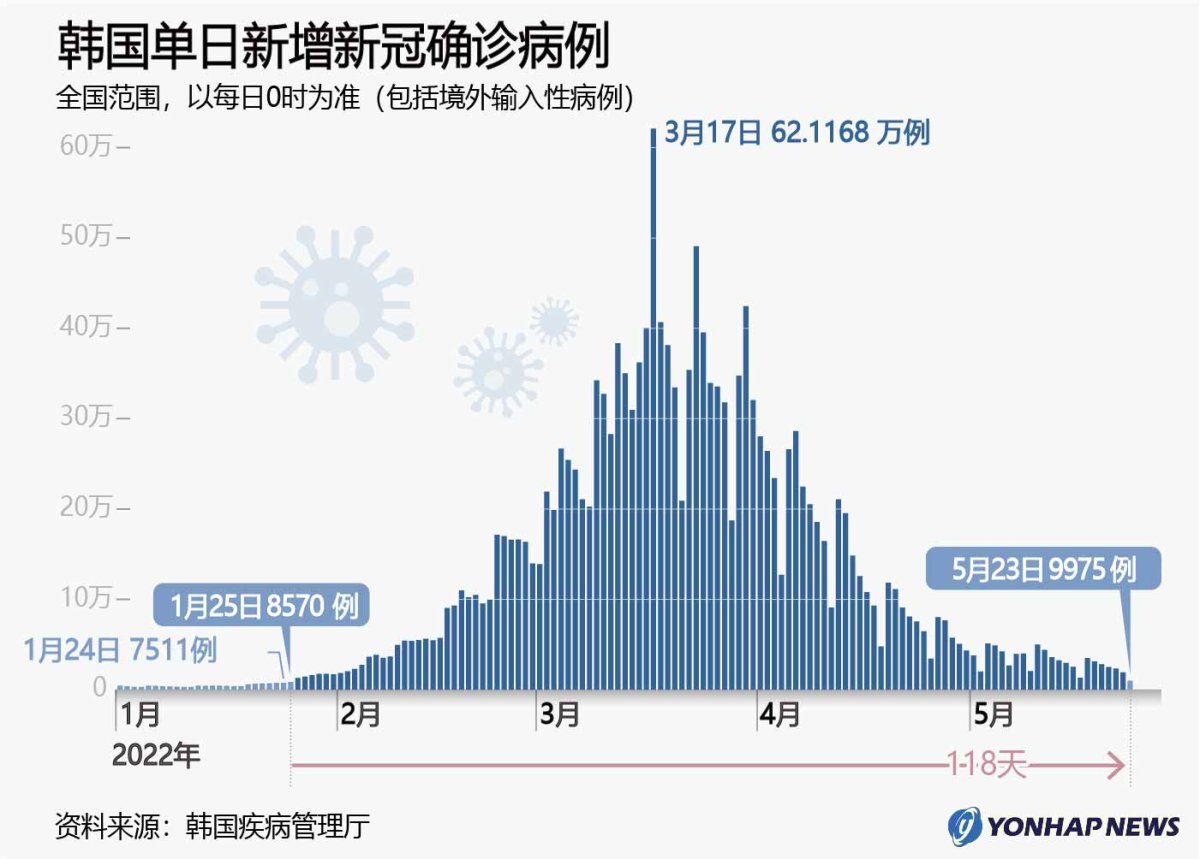 韩国最新现象深度解析报告