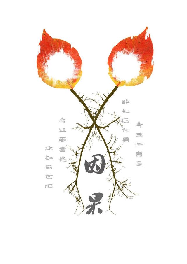 最新因果附体现象深度解析，揭示现象背后的深层联系