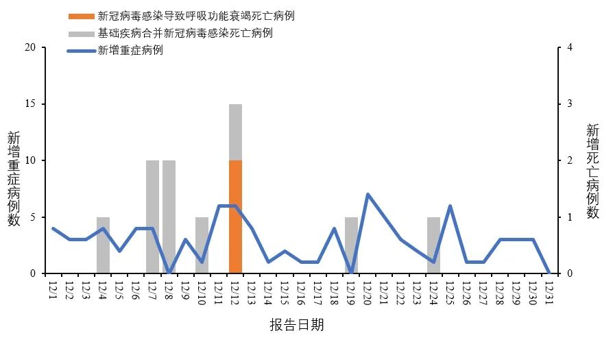 全球新冠病毒最新动态与应对策略报道