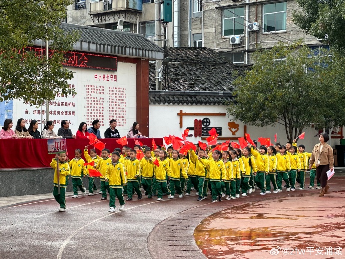 浦城县小学最新动态报道